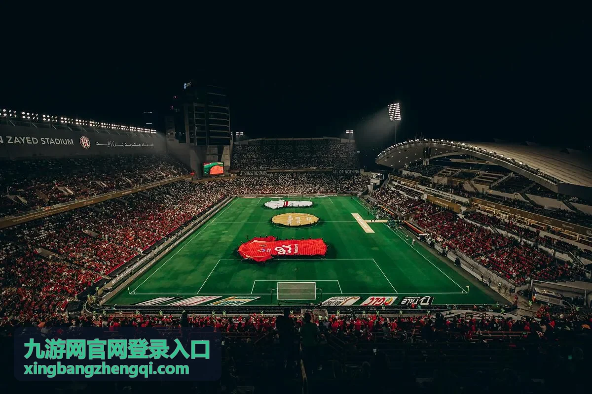 九游网账号登录问题排查方法